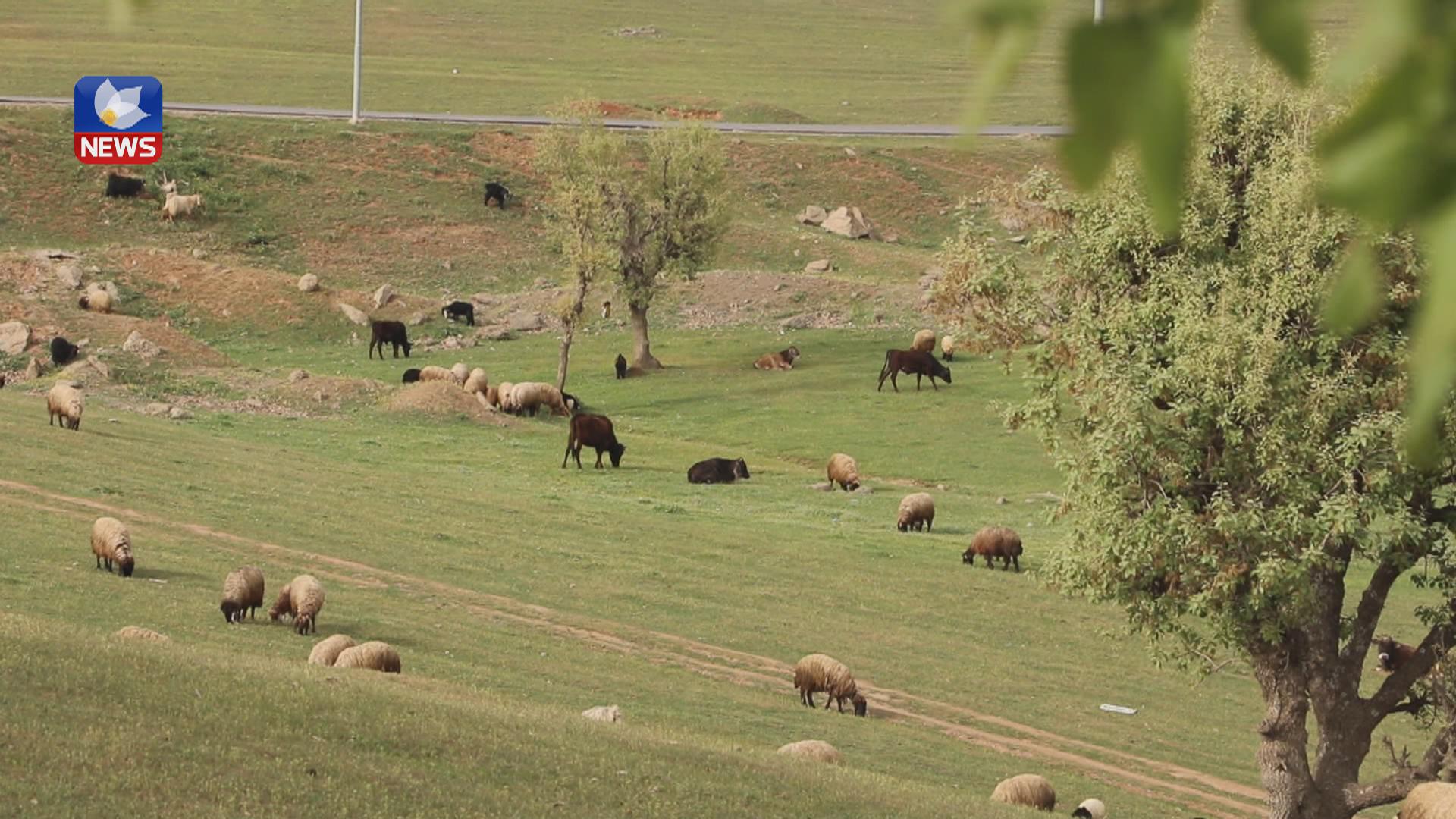 ماوەی پێنج ساڵە سوپای تورکیا بنکەی سەربازیی لە برادۆست دروست کردووە