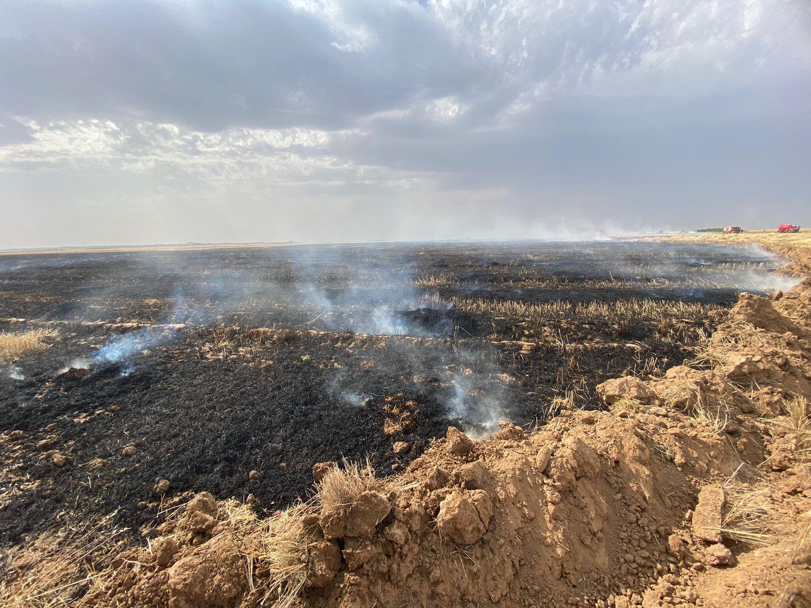 زیاتر لە ٤٠٠ دۆنم دەغڵودانی جوتیاران لەسنوری ئامرلی و خورماتوو دەسوتێت