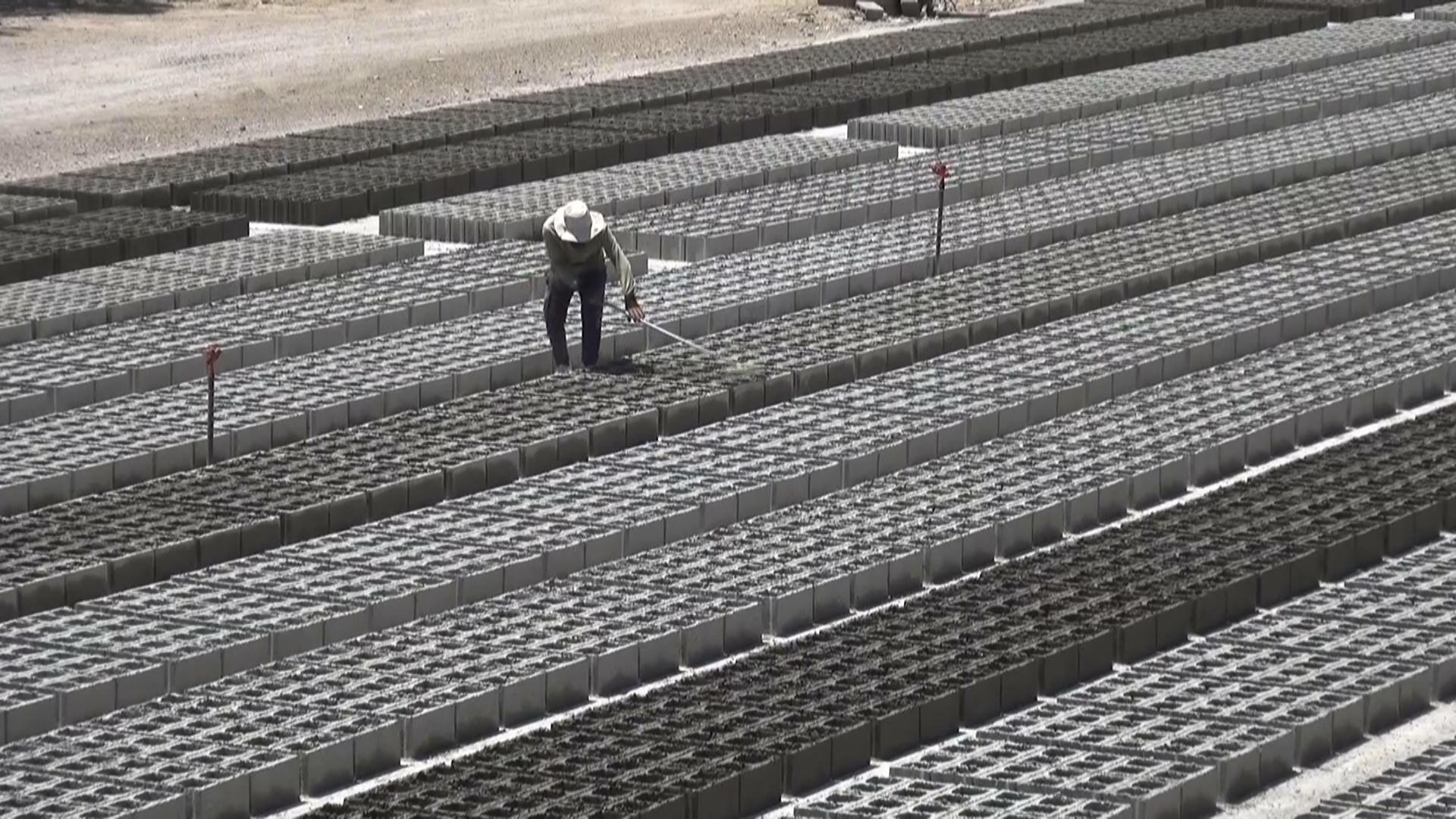 کارگەکانی بلۆک لە خورماتوو ھەلی کاریان بۆ گەنجان دەستبەرکردووە