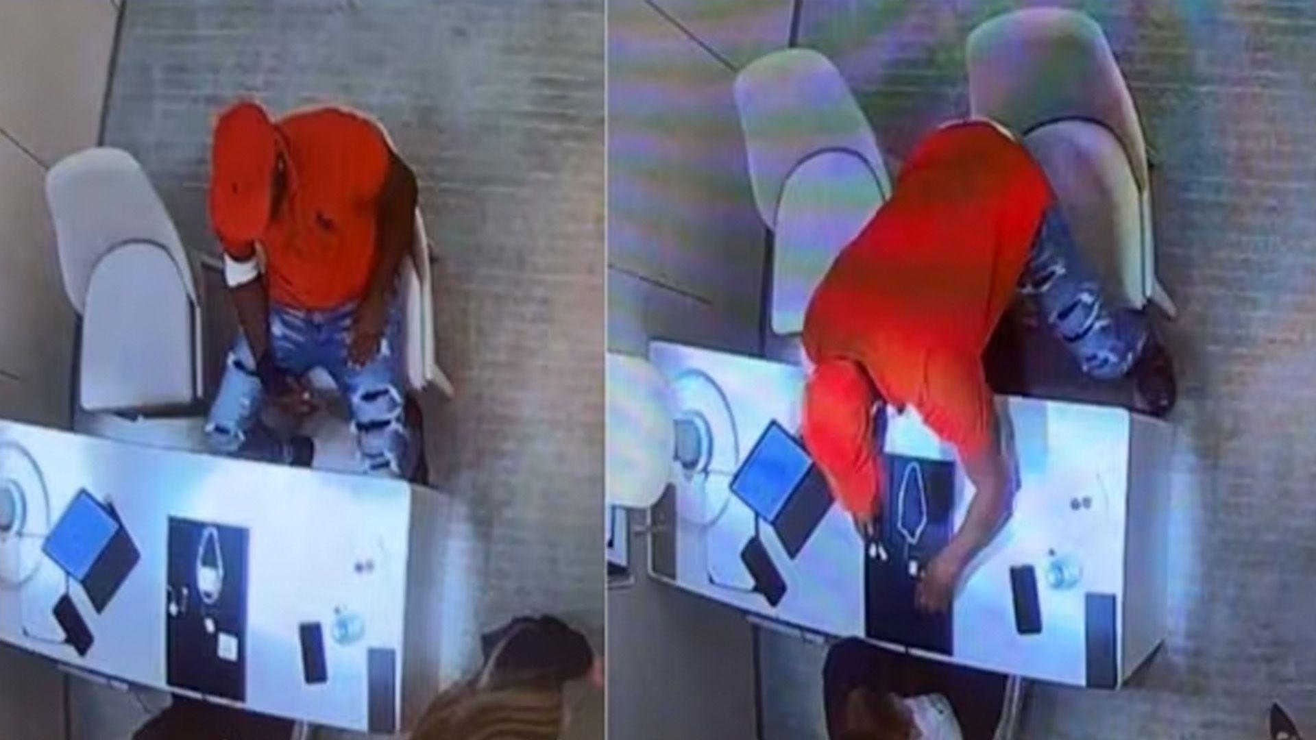 ڤیدیۆ.. لە فلۆریدا کەسێک جوتێک گوارە کە نرخەکەی 770 هەزار دۆلارە قوت دەدات