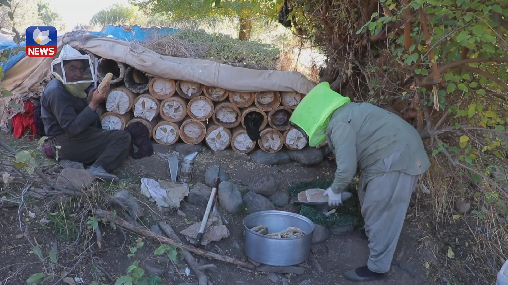 لە برادۆست بەرھەمی ھەنگوین دوو ھێندەی ساڵی پار زیادی کردووە