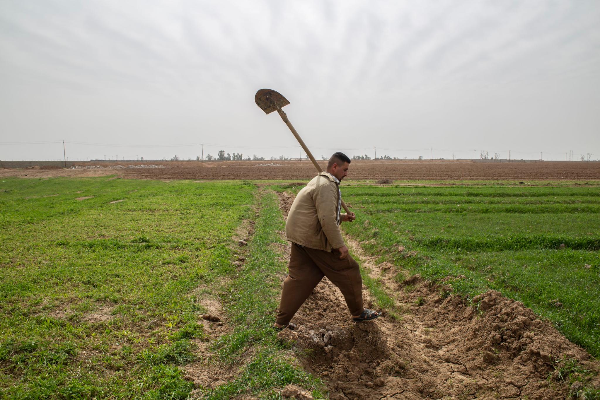 Over 1K acre land restored to Kurdish farmers in Kirkuk, disputed territories