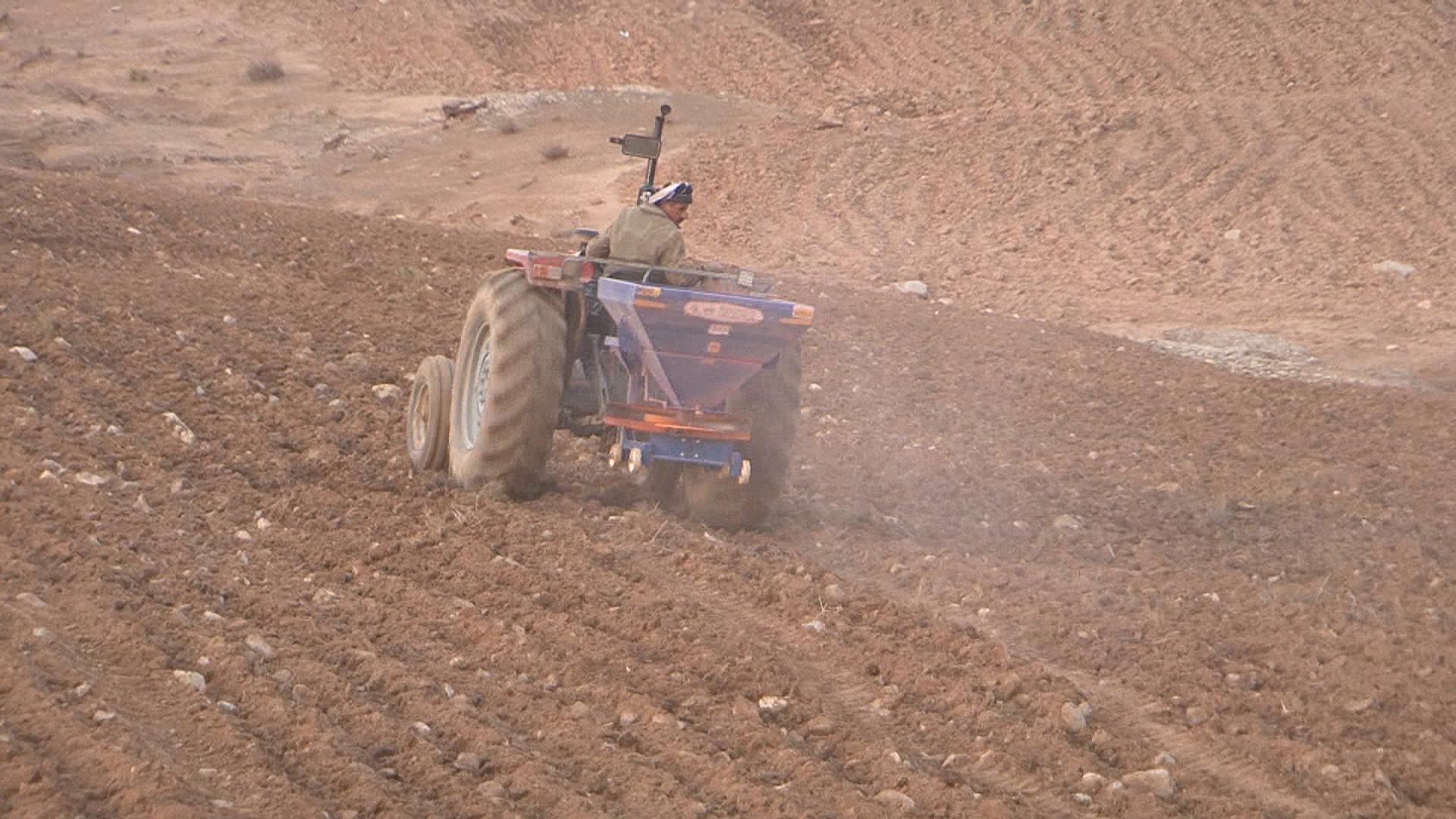 جوتیارانی چەمچەماڵ دەستیانکرد بە چاندنی گەنم لە زەوییەکانیان