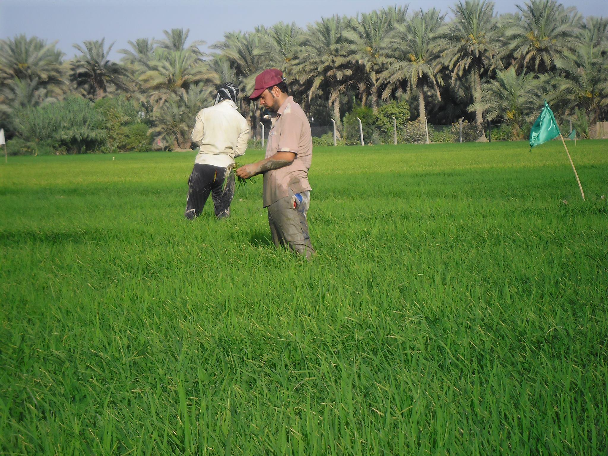 وەزارەتی دارایی وەرگرتنەوەی قەرزی جوتیارانی بۆ دوو ساڵی دیکە دواخست