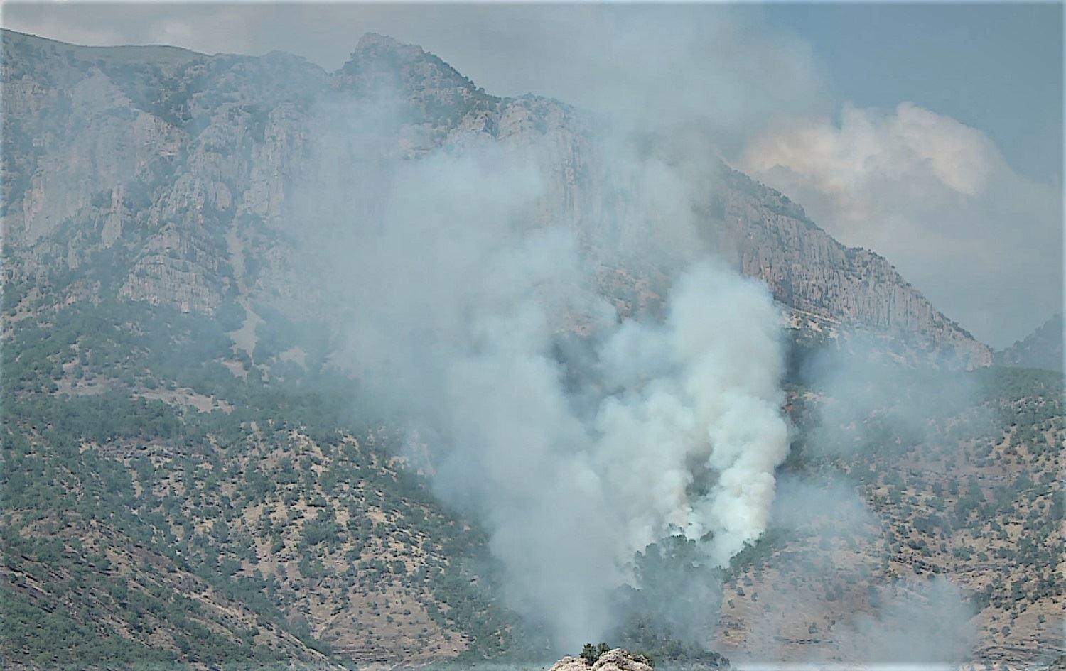 HDP leader demands investigation into Ankara's use of WMD 