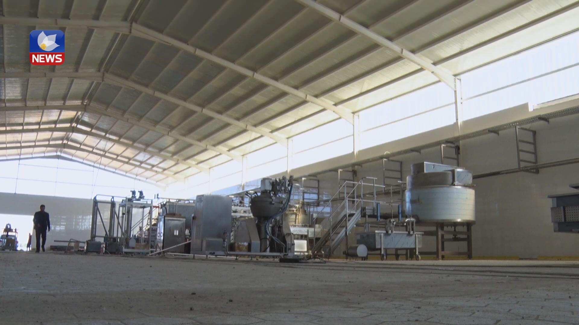 گەورەترین پڕۆژەی بەرھەمی شیرەمەنی لە گەرمیان کەوتۆتە بواری جێبەکردنەوە