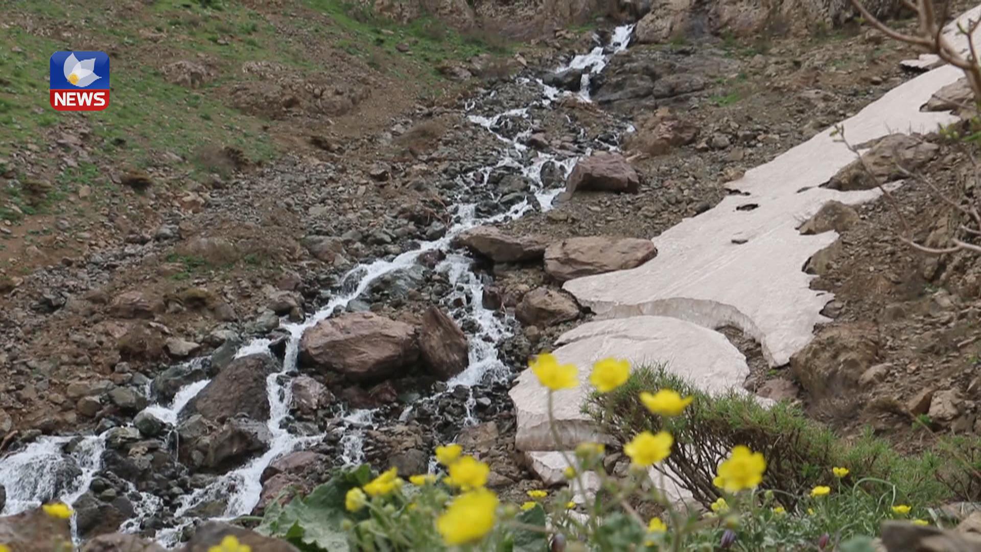 ئەمساڵ لە سنوری برادۆست زیاتر لە ٦٠٠ ملیم باران باریوە