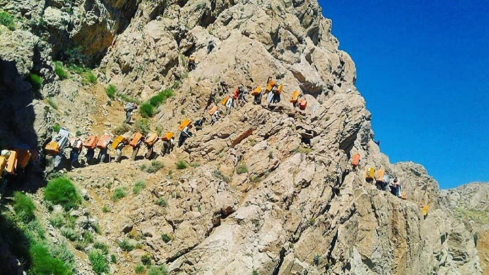 Two border couriers killed and many injured in Iran