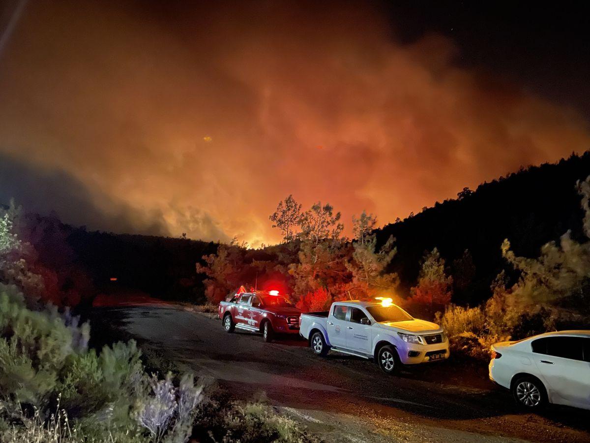 بۆ دووەم ڕۆژ لەسەر یەک ئاگری دارستانەکانی تورکیا بەردەوامە