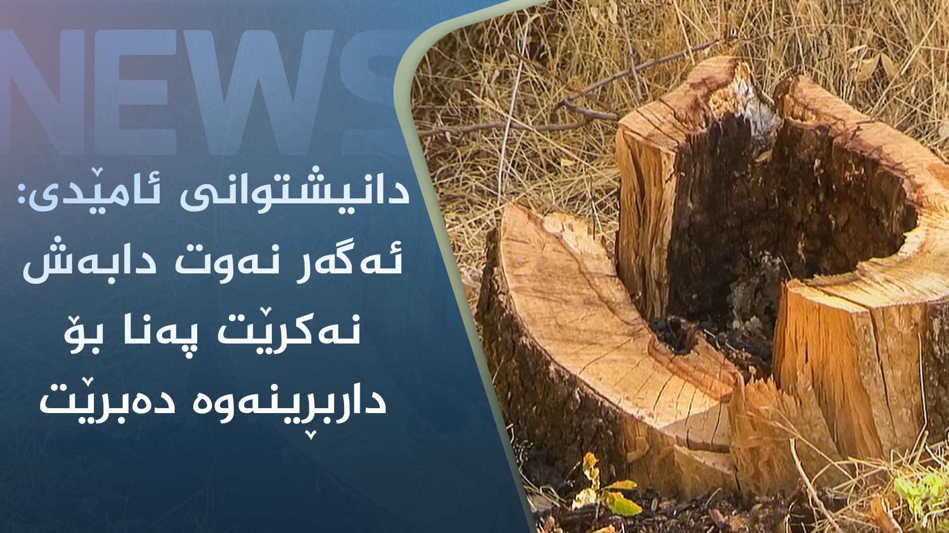 دانیشتوانی ئامێدی: ئەگەر نەوت دابەش نەکرێت پەنا بۆ داربڕینەوە دەبرێت