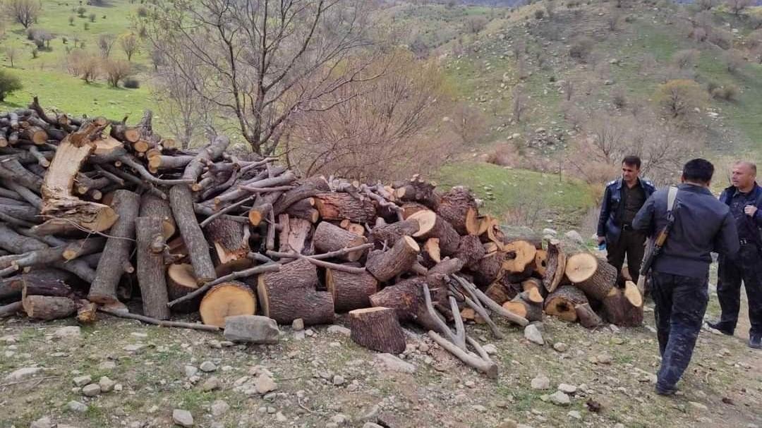 لە سنوری سلێمانی و دھۆک ١٣ کەس بە تۆمەتی تێکدانی ژینگە دەستگیرکران