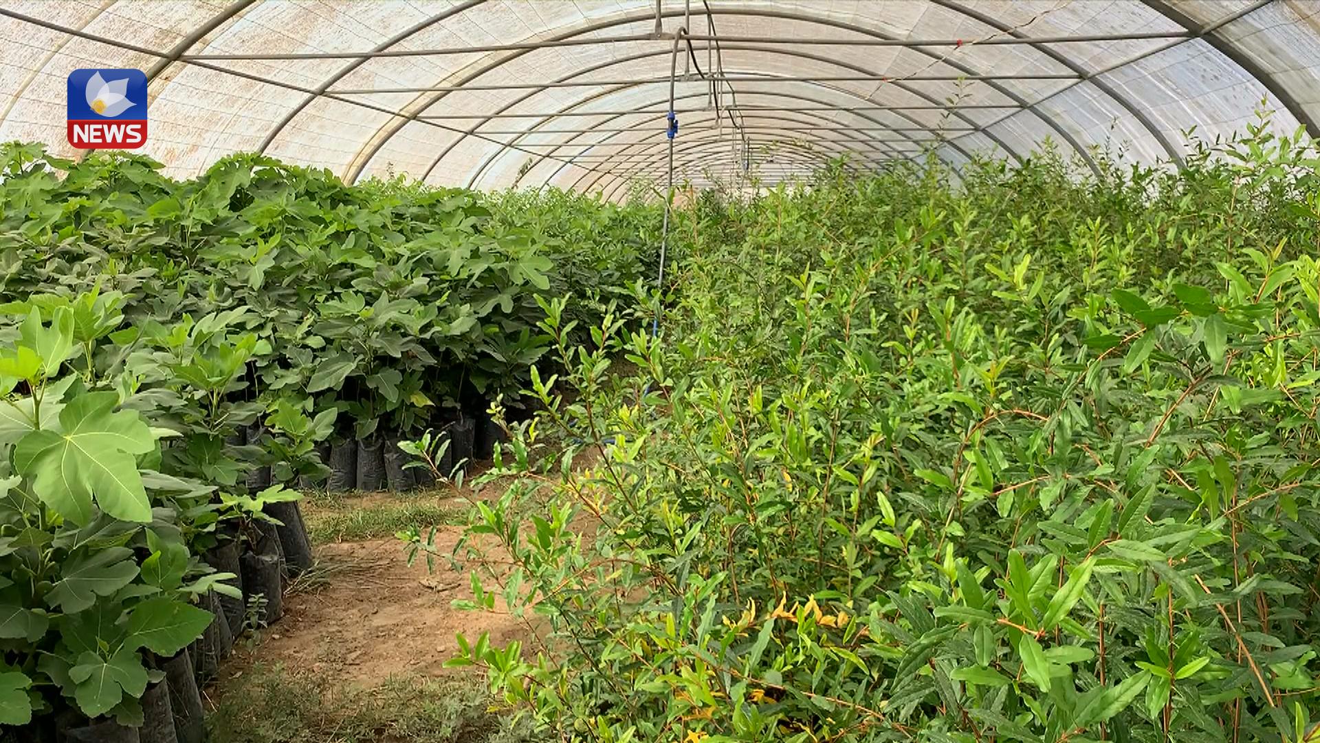 لە سۆران خانووی پلاستیکی بۆ بەروبوومی زستانە نییە