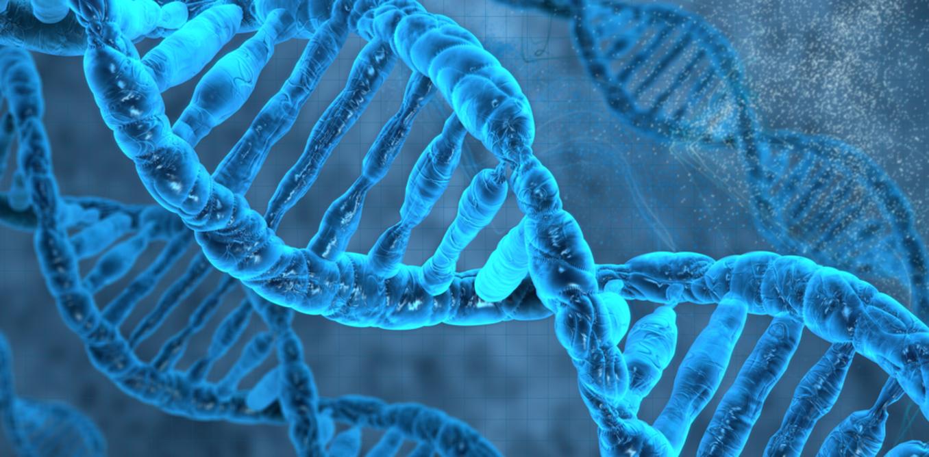 Scientists finally decode the entire human genome