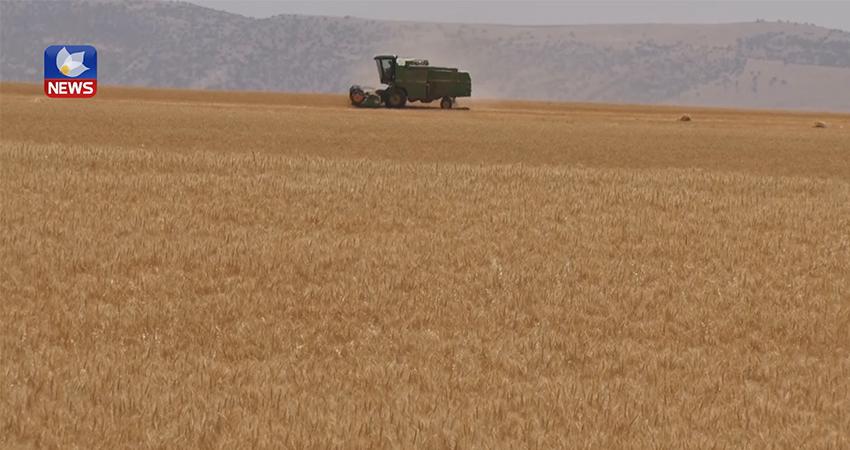 وشکەساڵی زیانێکی زۆری بە جوتیاران گەیاندووە