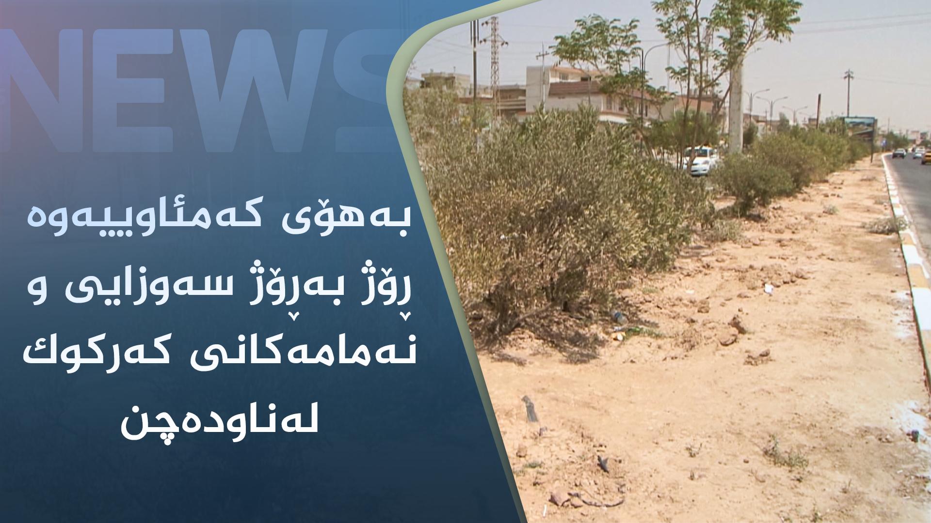 بەھۆی کەمئاوییەوە ڕۆژ بەڕۆژ سەوزایی و نەمامەکانی کەرکوک لەناودەچن