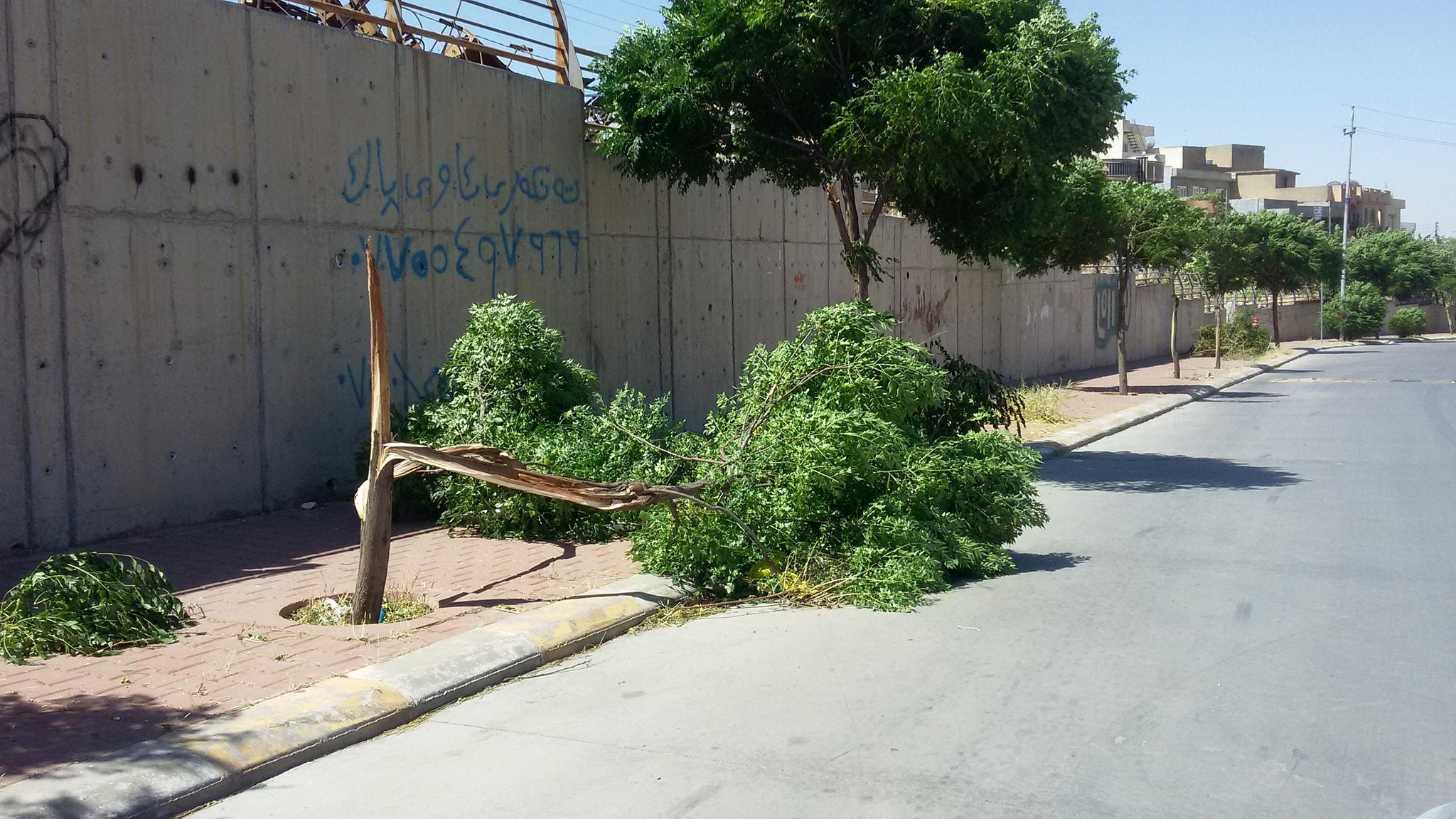 کەشناسیی سلێمانی: رەشەبا بەردەوام دەبێت