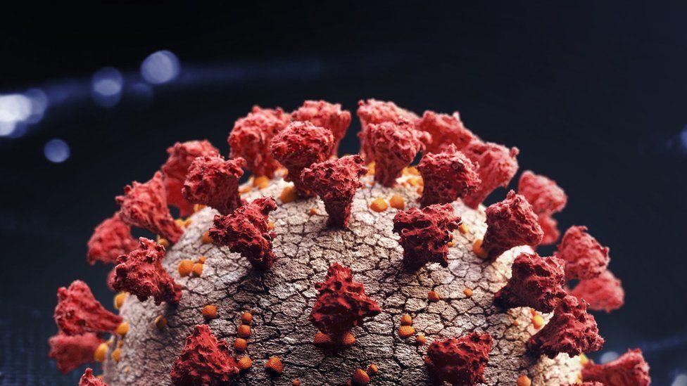 مەترسیدارترین جۆری کۆرۆنا لە ئەفریقا سەرھەڵدەدات