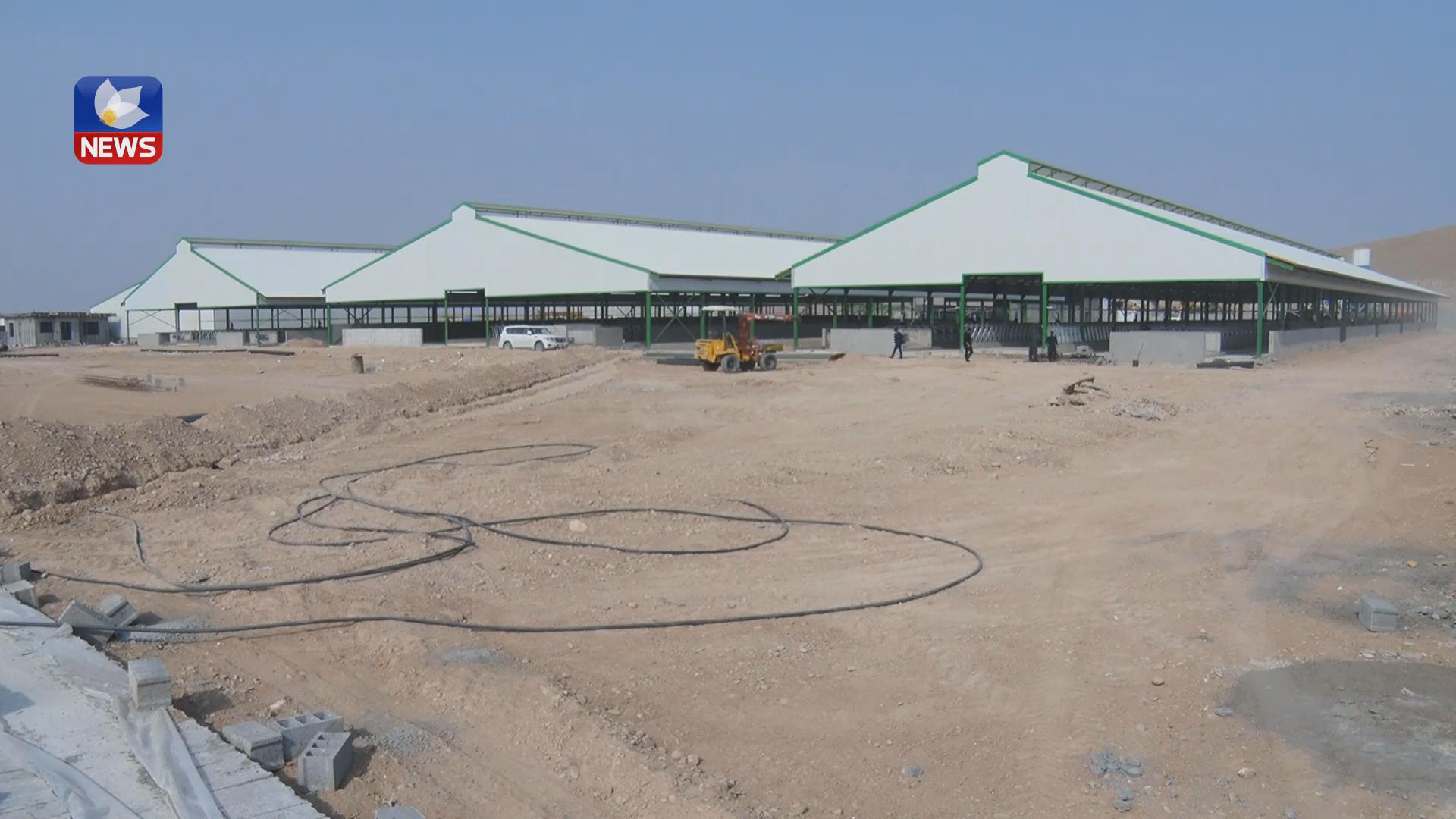 سەرمایەدارێكی گەرمیان وەبەرهێنان لە بواری بەرهەمە شیرەمەنییەكان دەكات