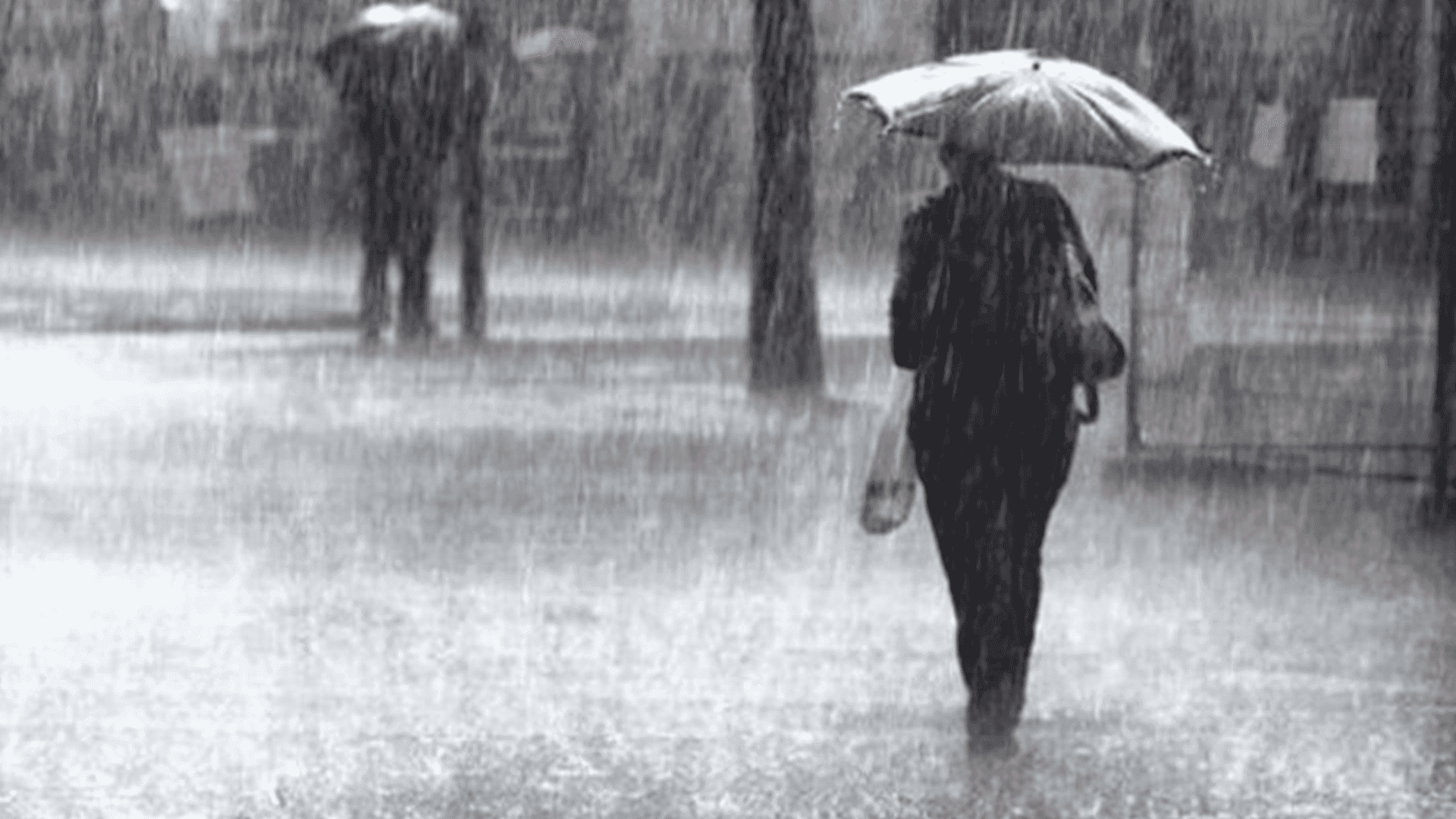 ئاماری بارانبارین لە سلێمانی و راپەڕین و کەرکوک و هەولێر و دهۆک