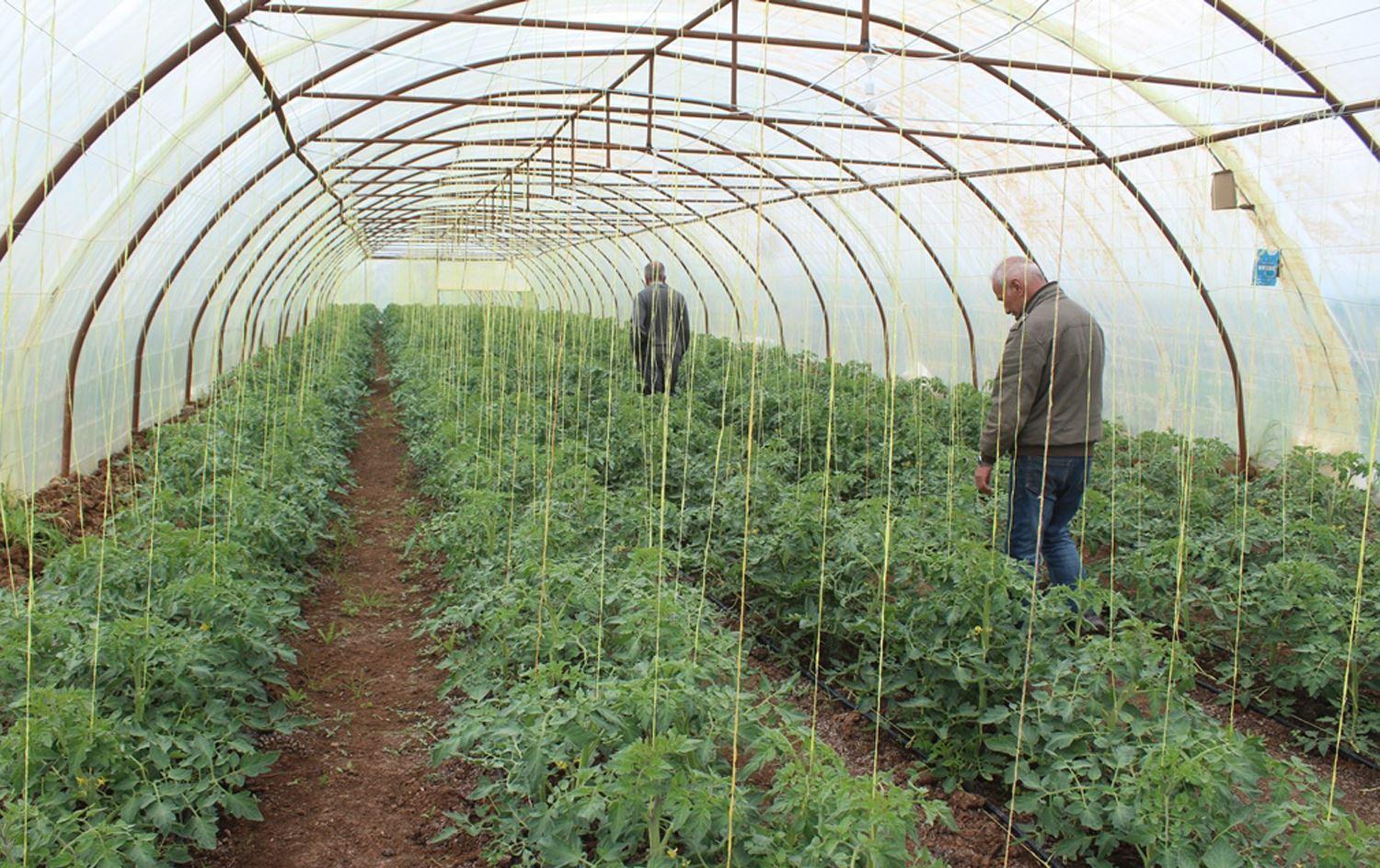 وەزارەتی كشتوكاڵ رێنمایی بۆ جێبەجێكردنی یاسای سەرپەرشتیكردنی پڕۆژە كشتوكاڵییەكان دەردەكات