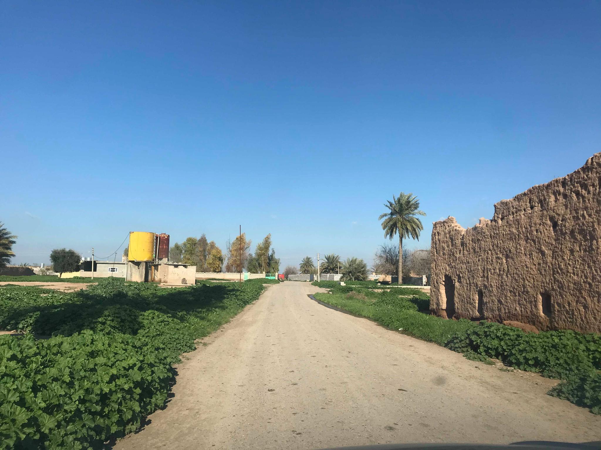 لە سنوری داقوق تیرۆرستانی داعش دوو برا دەڕفێنن