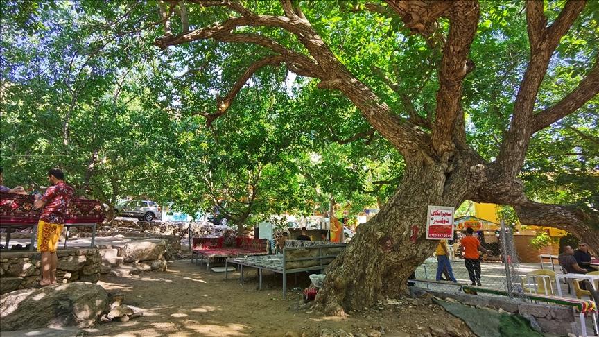  ١٦٦ کانی لە ھەورامان وشکبوون