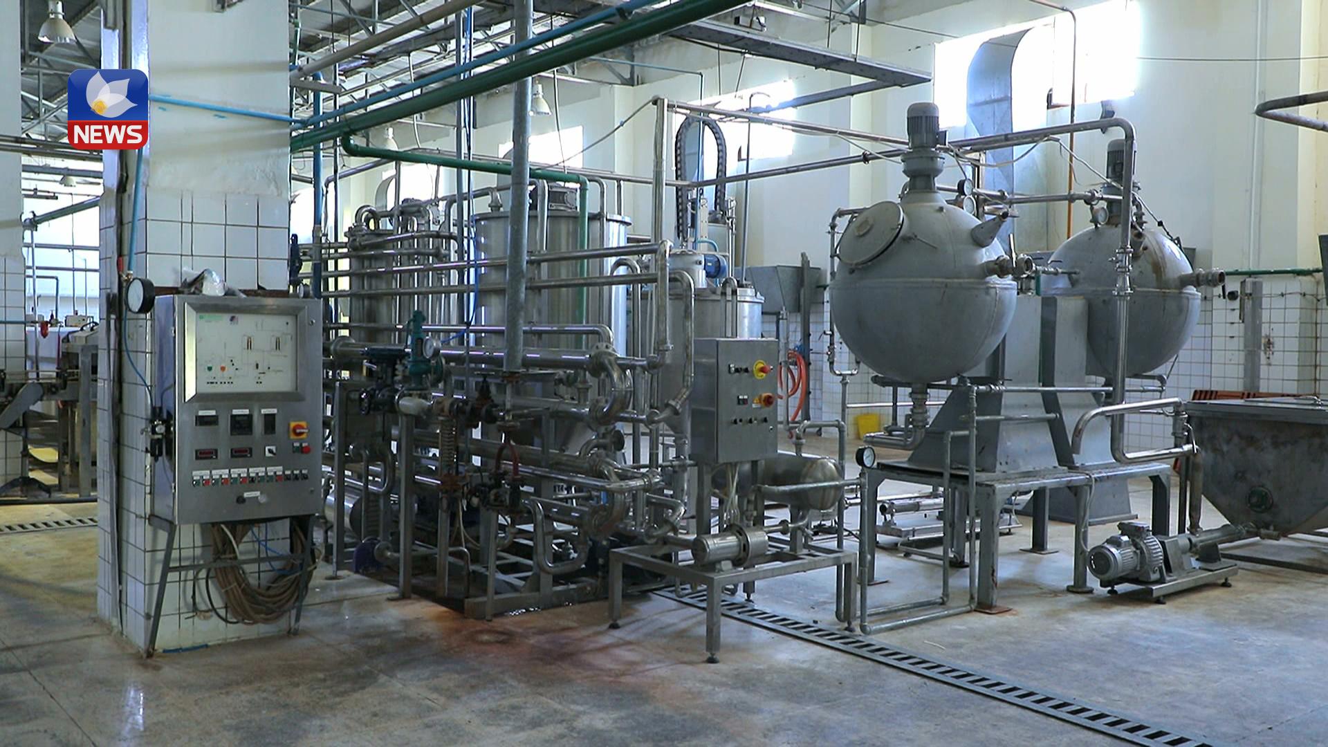 کارەکانی کارگەی لە قوتونانی دۆشاوی تەماتەی ھەریر ڕاگیراوە