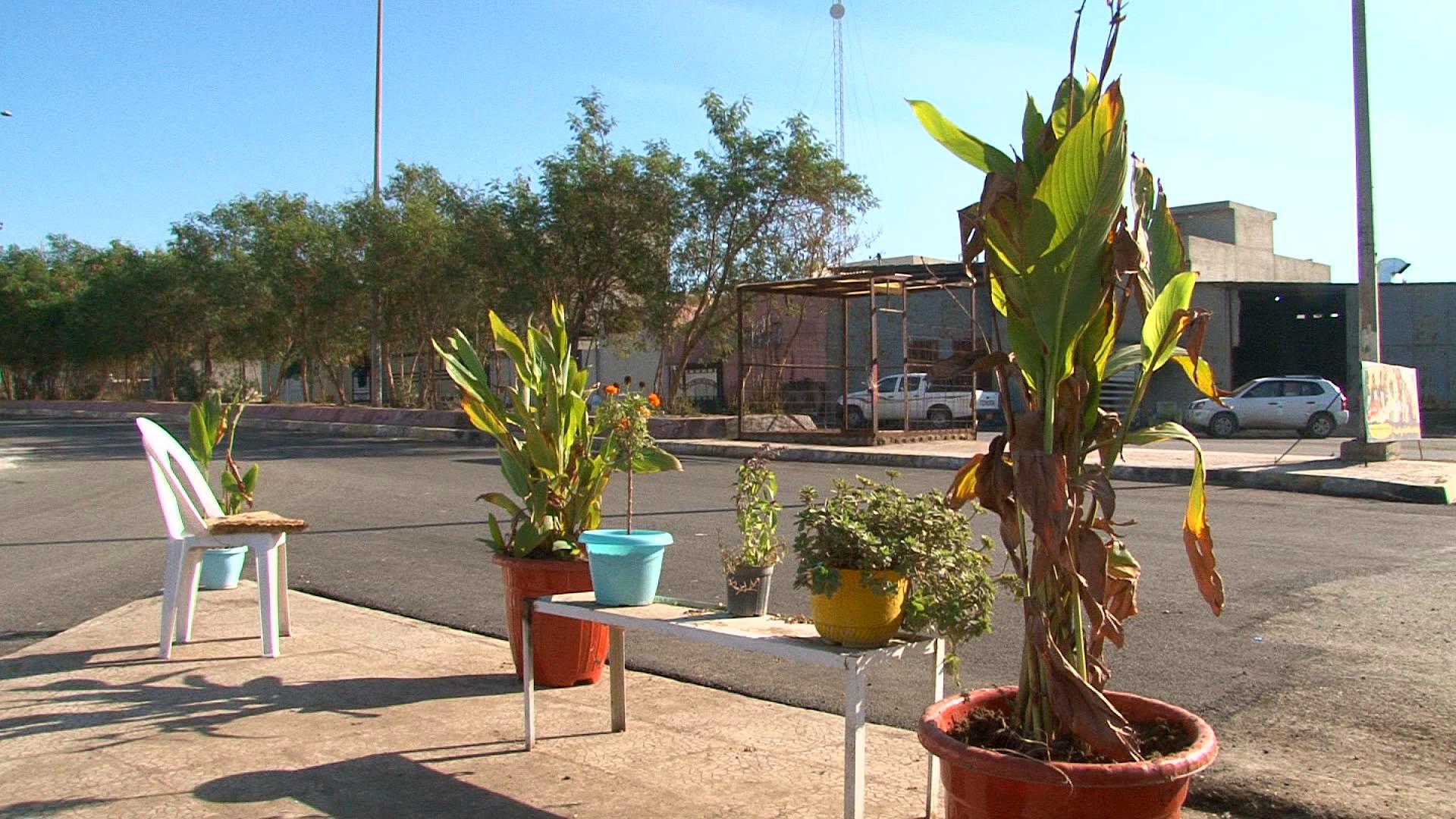 دوو هاوڵاتی شوێنێكی فڕێدانی زبڵ و خاشاكیان كرد بە باخچەی گوڵ