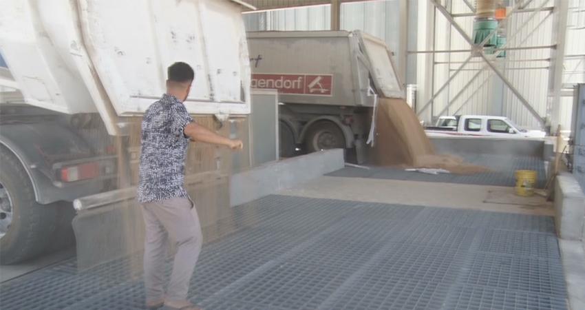 جوتیارانی سەید سادق داوادەکەن بەرھەمەکانیان لەسایلۆکان وەربگیرێت