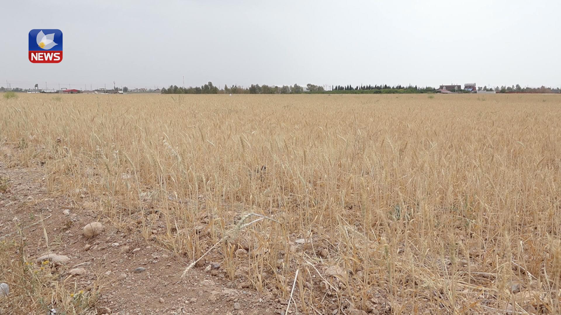 پارێزگای ھەولێر مەترسییەکانی کەمبوونەوەی ئاوی خواردنەوەی راگەیاندووە