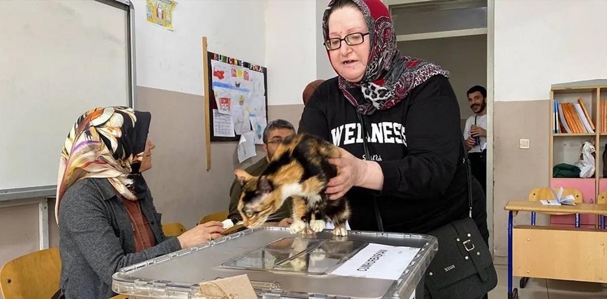 لە خولی دووەمی ھەڵبژاردنی سەرۆکایەتی کۆماری تورکیا چەند دیمەنێکی جیاواز بەدیکران