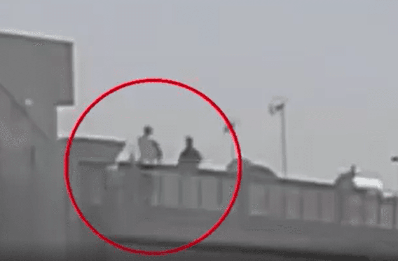 Student kills Erbil university dean and professor