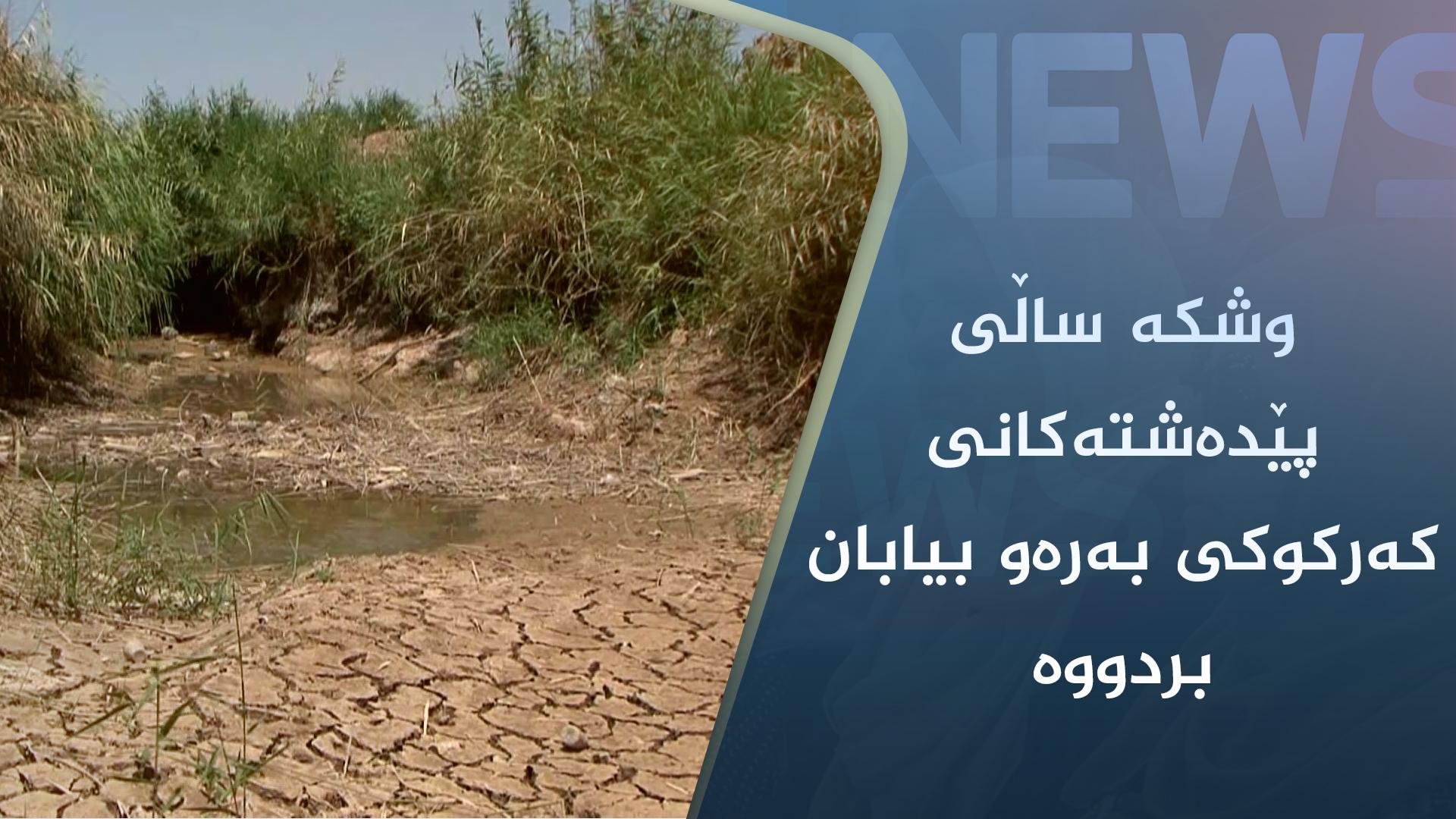 لە کەرکوک ڕێژەی سەوزایی و ئاژەڵ و باڵندە کێویەکان بەرەو کەمبونەوە دەچن