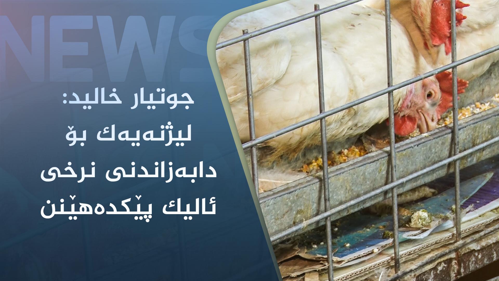 جوتیار خالید: لیژنەیەک بۆ دابەزاندنی نرخی ئالیک پێکدەھێنن