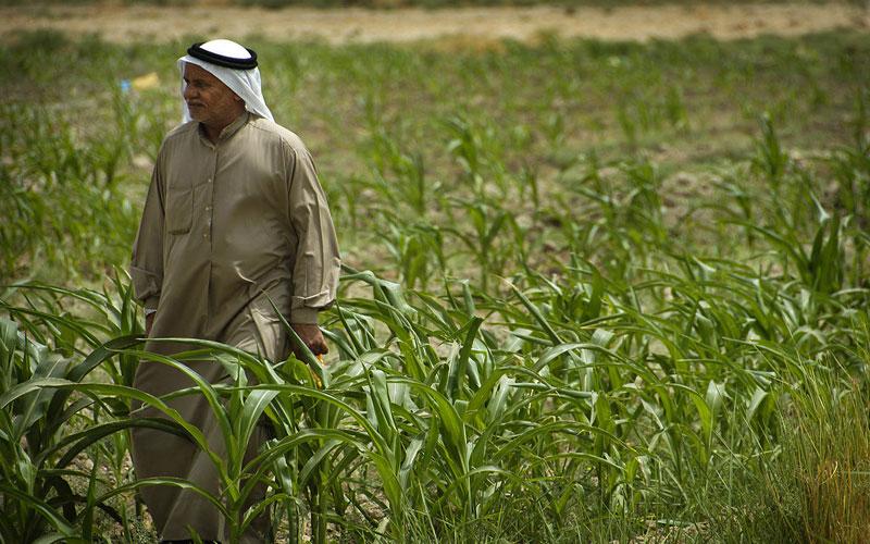 ھۆشداری لە کەمبوونەوەی بەرھەمە کشتوکاڵییەکانی عێراق دەدرێت