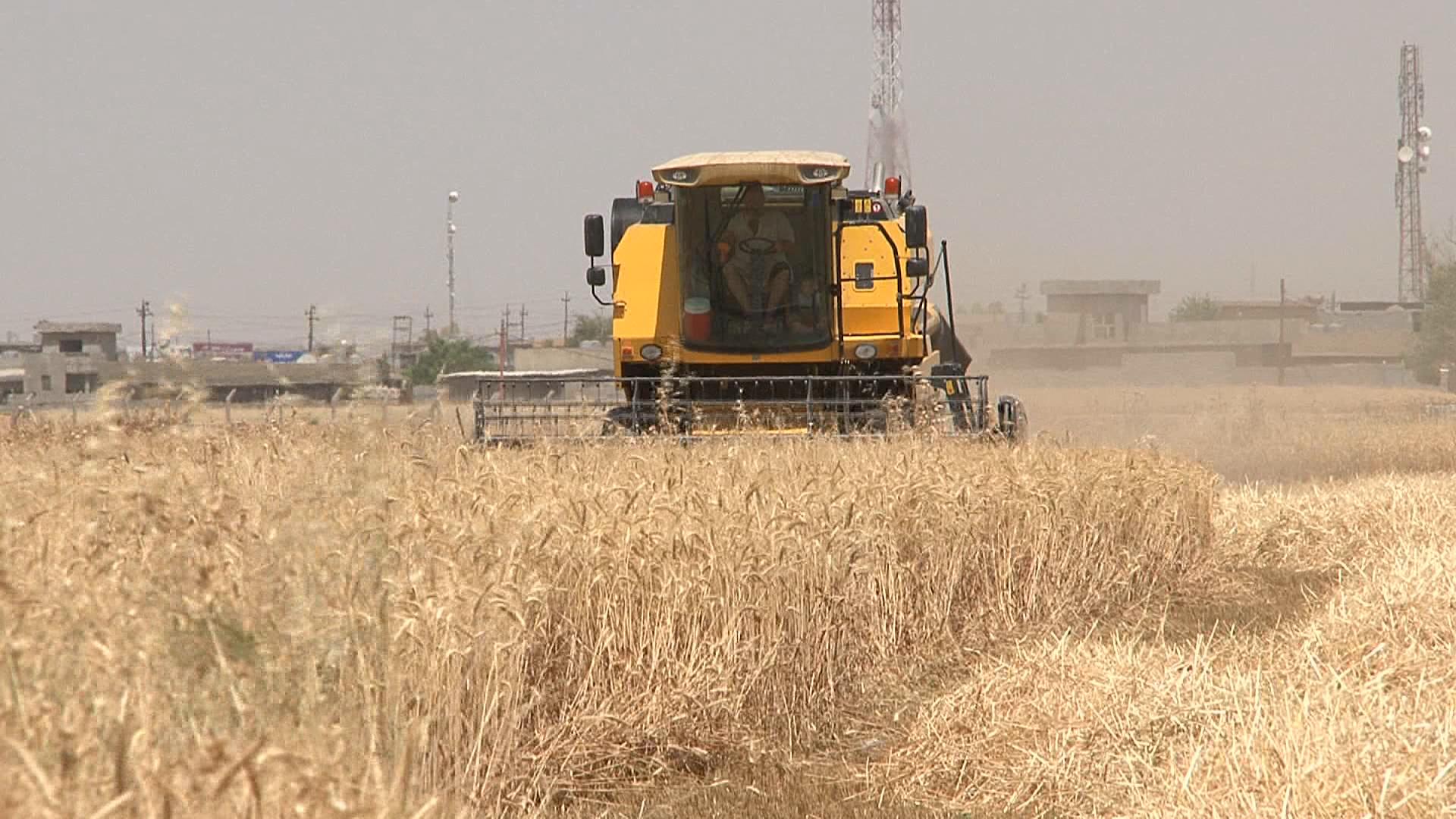 سوپای عێراق رێگەنادات جوتیارانی کوردی گوندی تۆپزاوا دانەوێڵەکەیان دروێنە بکەن