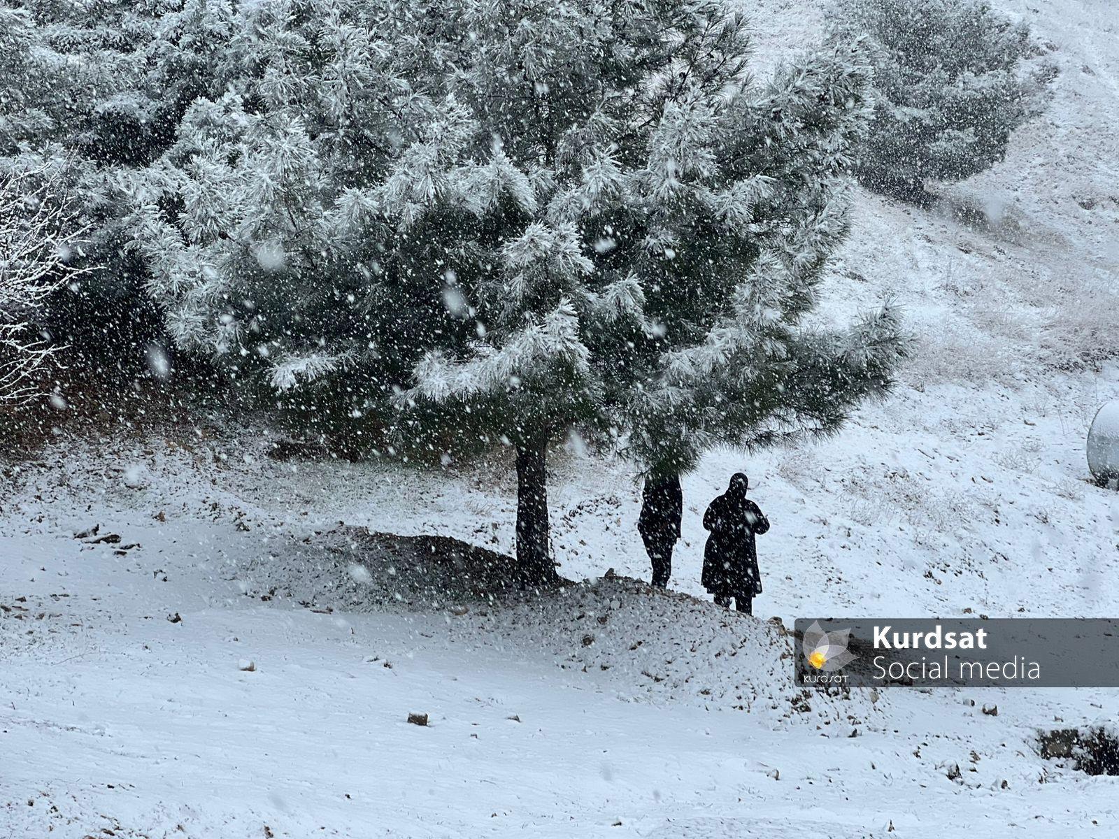 بەهۆی بەفربارینەوە، هاووڵاتیان بۆ بەسەربردنی کاتێکی خۆش و وێنەگرتن رویان لە شاخی گۆیژە کردووە   وێنە/ رێزان محەمەد