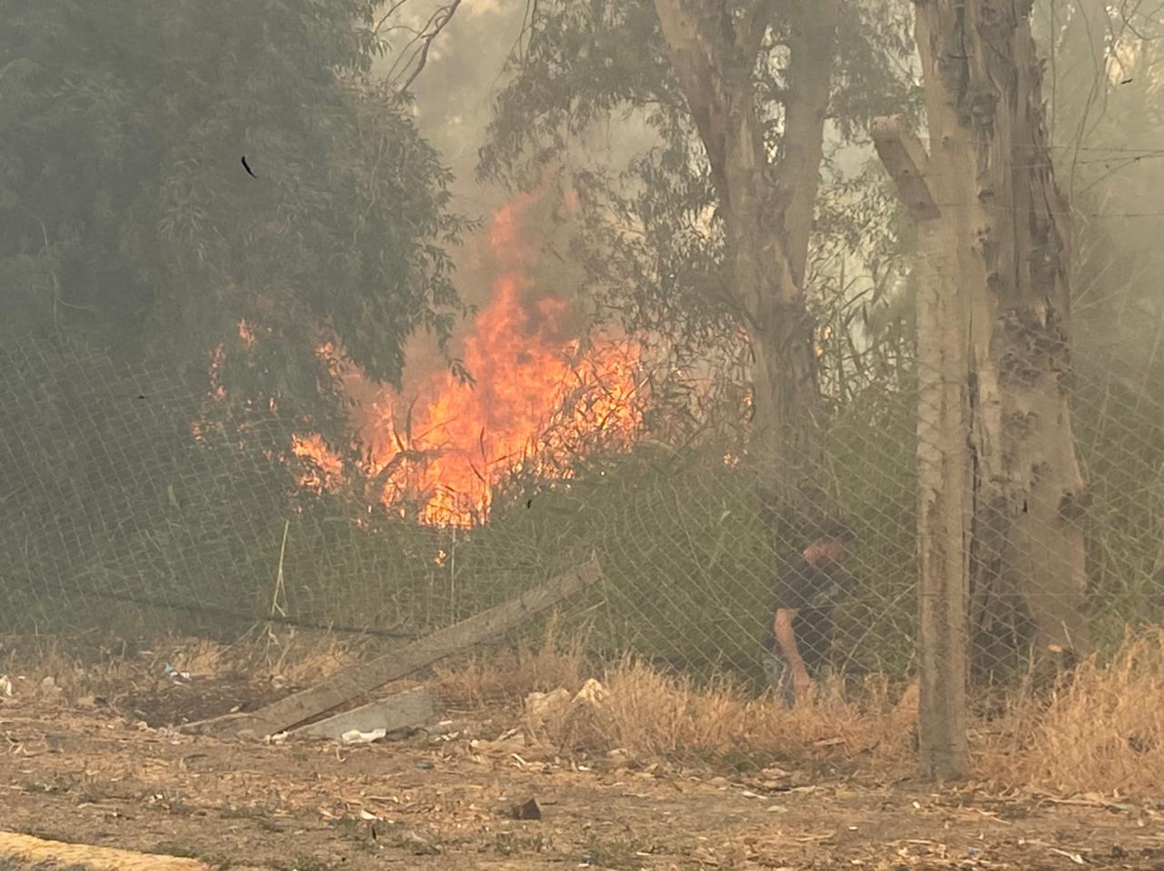 ئاگر لە دارستانی لای چەپی موسڵ کەوتەوە