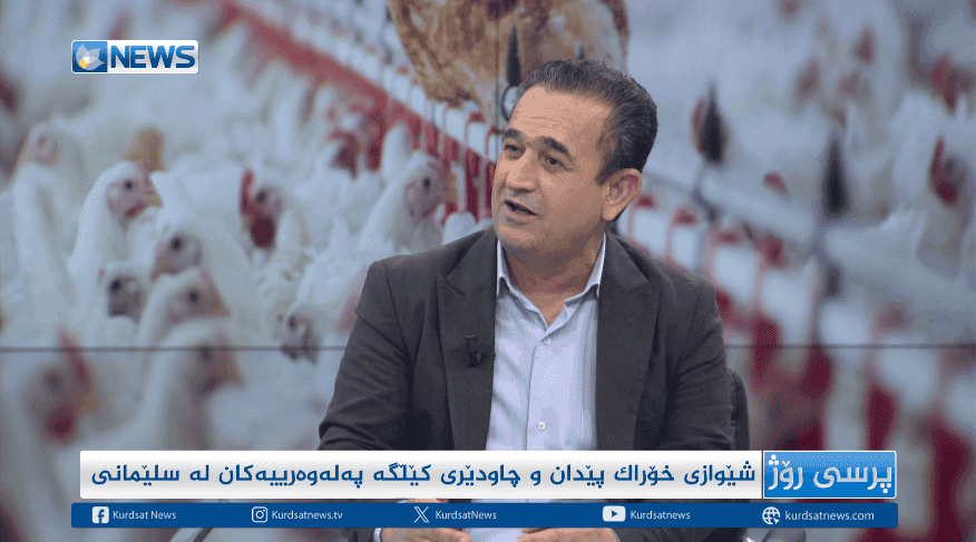 شێوازی خۆراک پێدان و چاودێری کێڵگە پەلەوەرییەکان لە سلێمانی