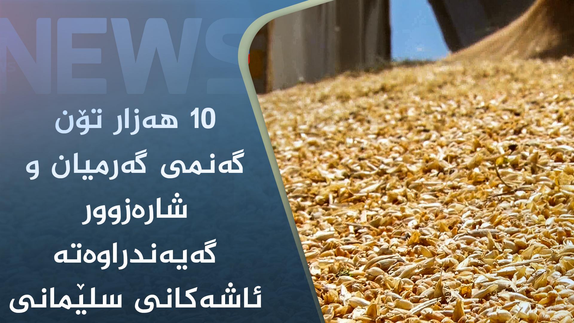 ١٠ ھەزار تۆن گەنمی گەرمیان و شارەزوور گەیەندراوەتە ئاشەکانی سلێمانی 