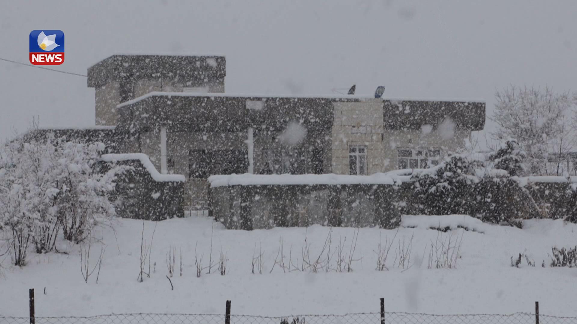 لە سنوری برادۆست تەنیا بەرمیلێک نەوتی سپی دابەشکراوە