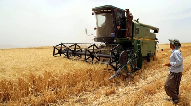 وشکەساڵی زیانی بە زەوییە کشتوکاڵییەکانی قەزای شێخان گەیاندووە