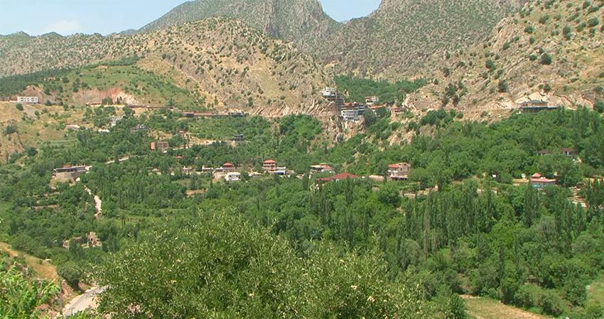 بۆ یەکەم جار چەندین جۆر داری نوێ لە ئامێدی دەڕوێنرێت 