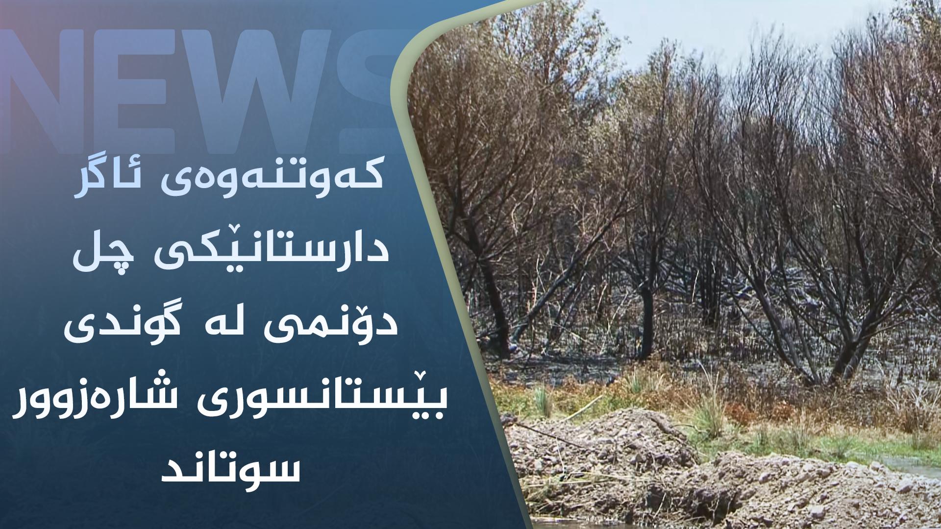 کەوتنەوەی ئاگر دارستانێکی چل دۆنمی لە گوندی بێستانسوری شارەزوور سوتاند