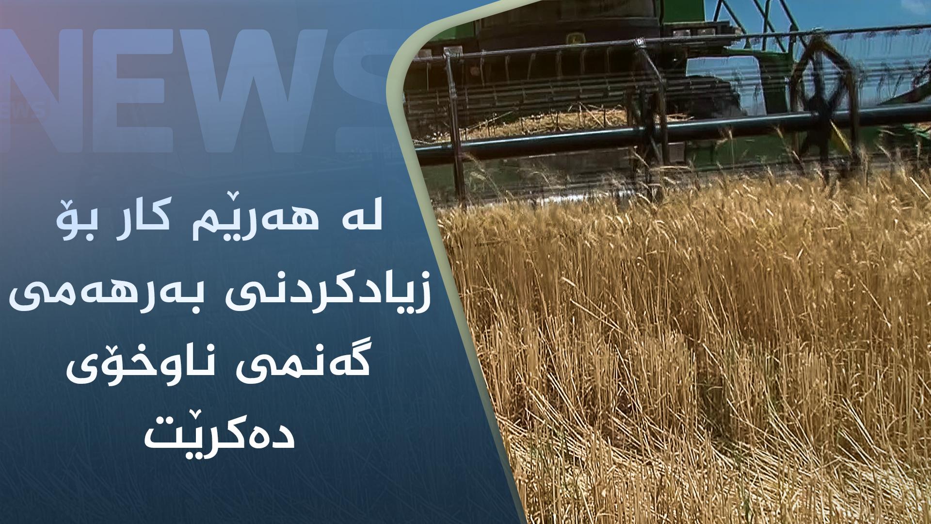 لە ھەرێم کار بۆ زیادکردنی بەرھەمی گەنمی ناوخۆی دەکرێت 