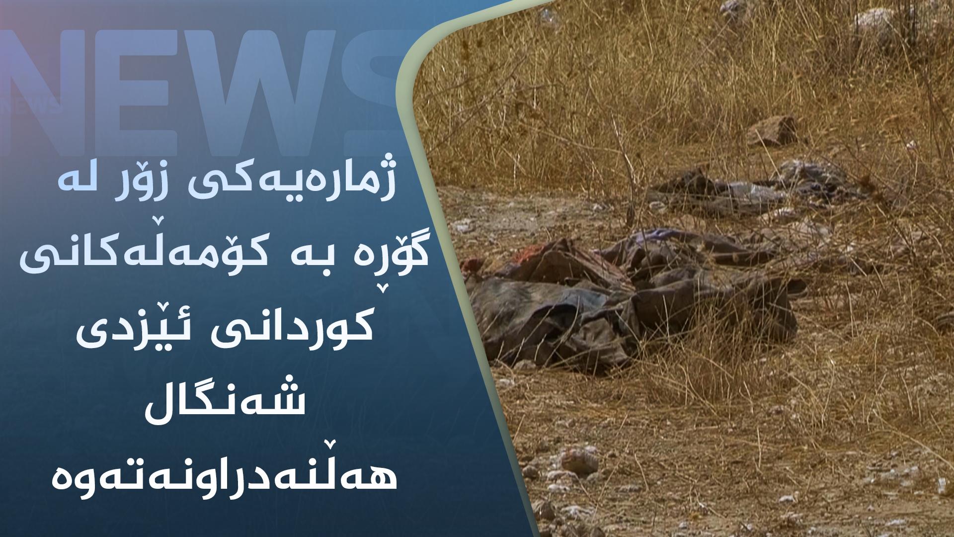 ژمارەیەکی زۆر لە گۆڕە بە کۆمەڵەکانی کوردانی ئێزدی شەنگال ھەڵنەدراونەتەوە