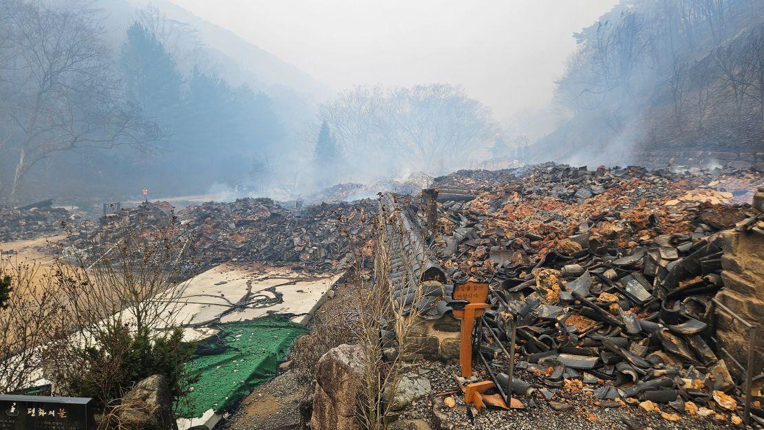 16هەزار دۆنم دارستانی كۆریای باشور سوتاوە 