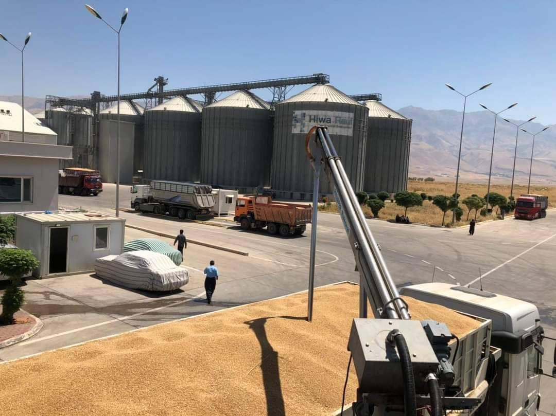 کازمی بڕیاریدا ٣٠٩ ملیار دیناری پارەی گەنی جووتیارانی ھەرێم خەرج بکات