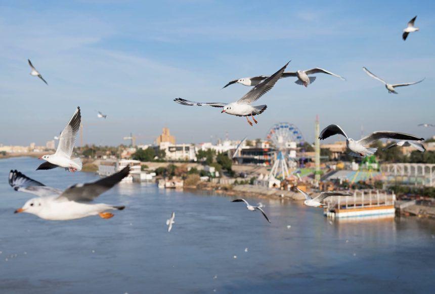 طقس العراق..  انخفاض واضح في درجات الحرارة  خلال الايام القادمة