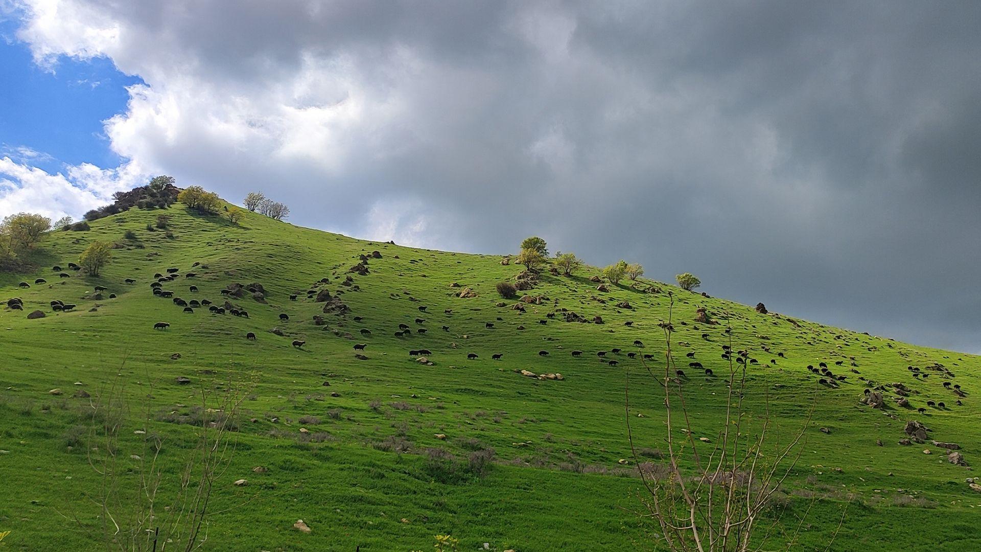 کەشناسی: ئاسمان هەور دەبێت و  پلەکانی گەرما بەرزدەبەنەوە